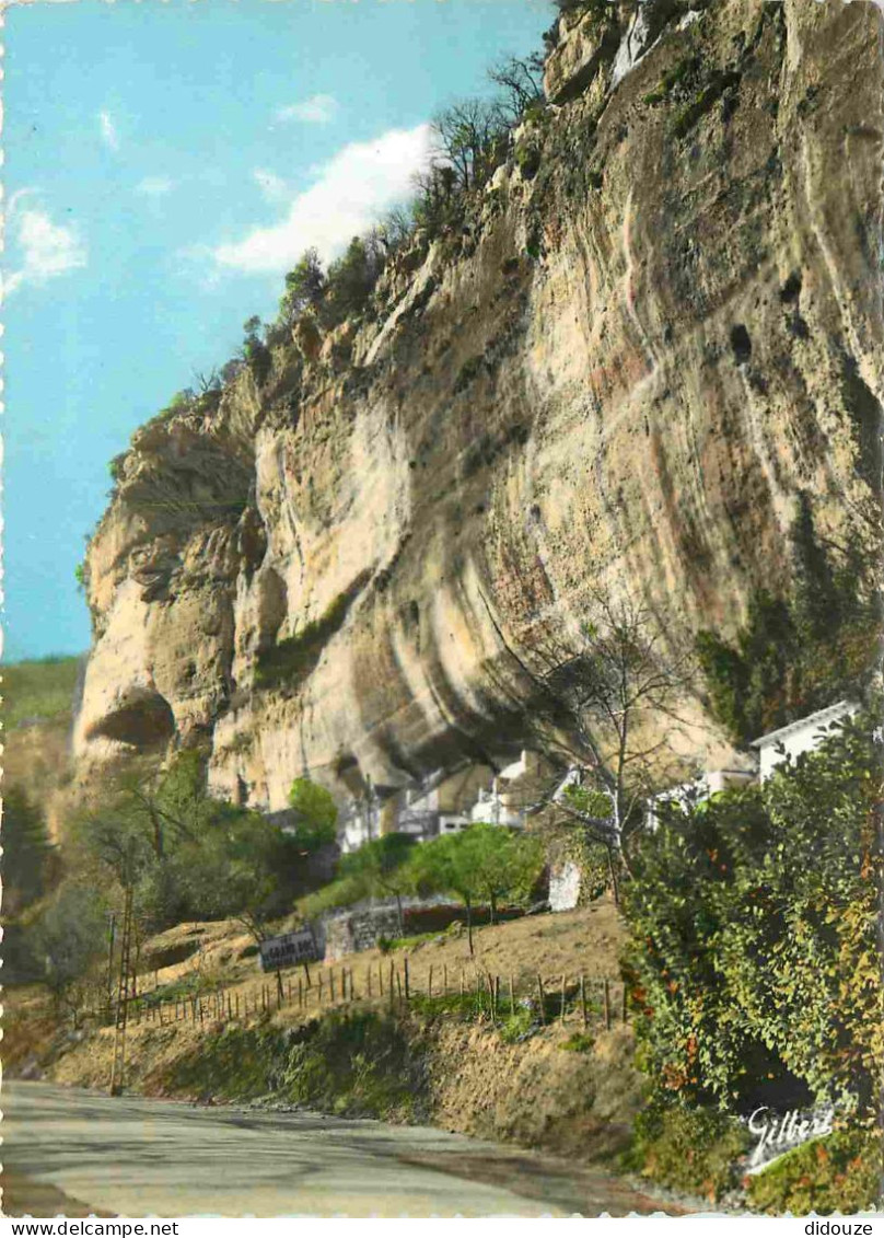 24 - Les Eyzies - Grotte Du Grand Roc - Entrée Au Pied De La Falaise - Mention Photographie Véritable - Carte Dentelée - - Les Eyzies