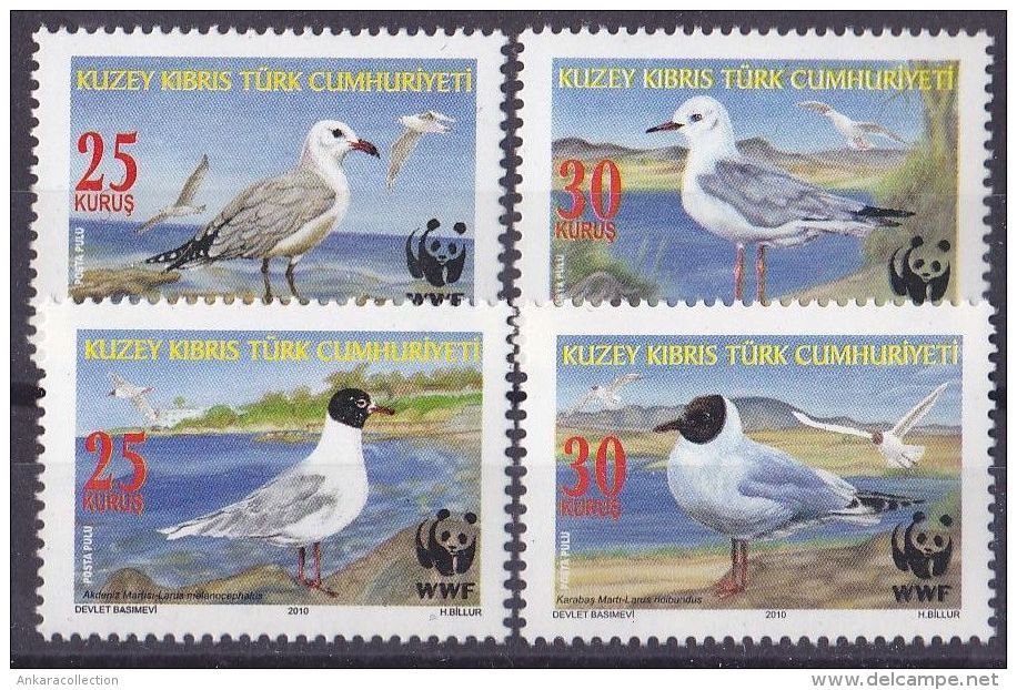 AC - NORTHERN CYPRUS STAMP  -  WORLD ENVIRONMENT DAY SEAGULL MNH 04 JUNE 2010 - Neufs