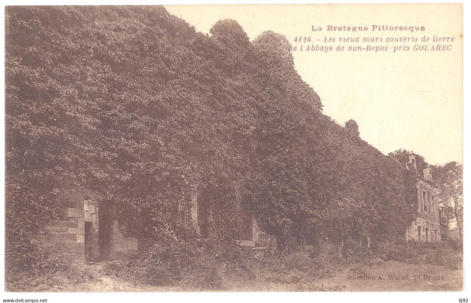 CPA 22 - GOUAREC (Côte D'Armor) - 4126. Les Vieux Murs Couverts De Lierre De L'Abbaye De BON-REPOS Près Gouarec - Gouarec