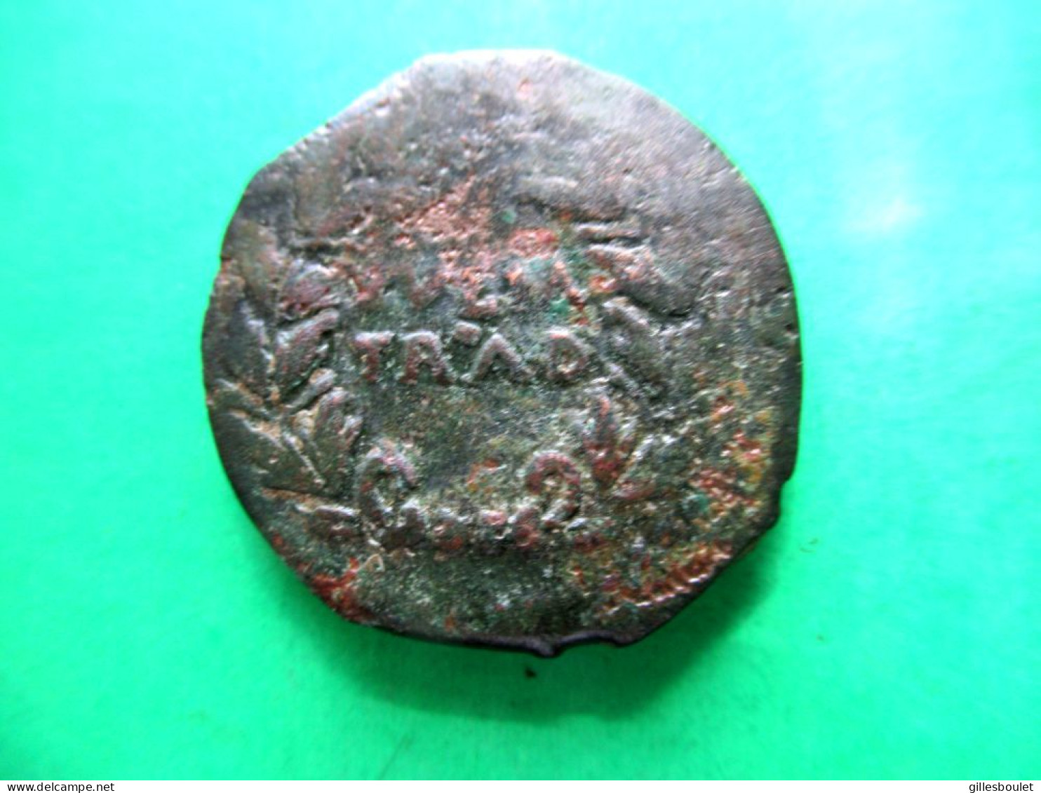 Augustus (27BCE-14CE) Très Beau Julia Traducta Bronze, Haut Grade SUP. 75 Euros. - The Julio-Claudians (27 BC To 69 AD)