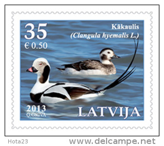 2013 Latvia / Lettonie - Bird Stamp  The Long-tailed Duck ; Bee Woodpecker MNH - Letonia