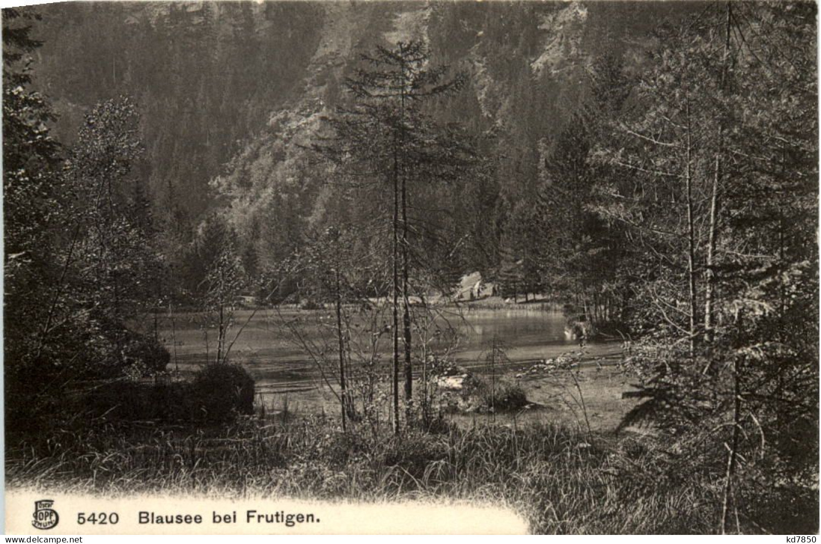 Blausee Bei Frutigen - Frutigen