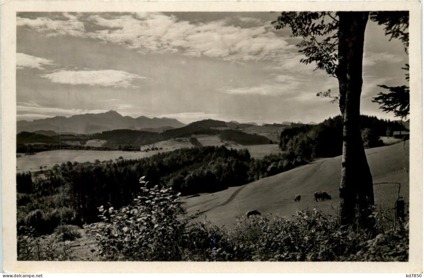 Kurort Degersheim Toggenburg - Degersheim