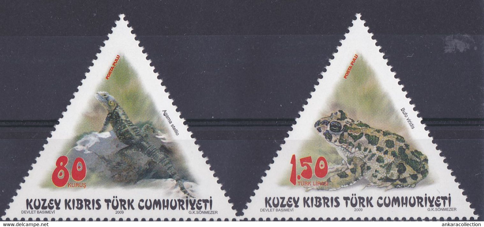 AC - NORTHERN CYPRUS STAMP - ANIMALS LIZARD - FROG MNH 14 SEPTEMBER 2009 - Ungebraucht