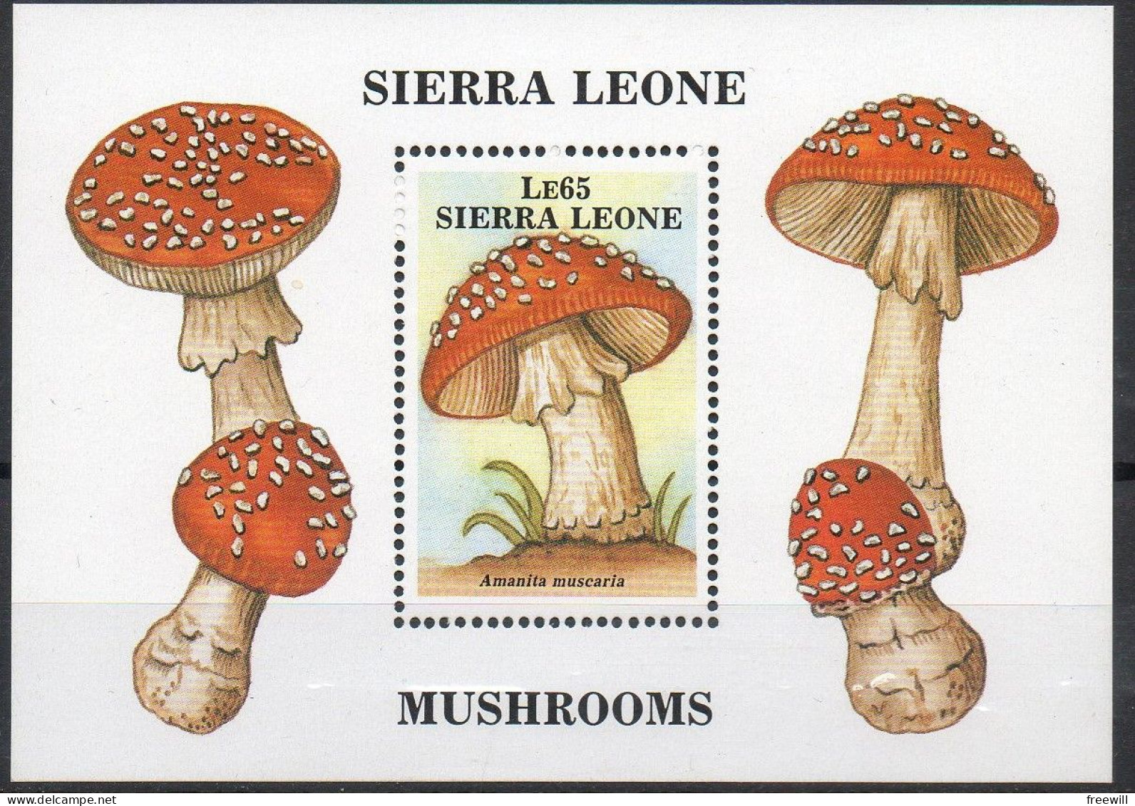 Sierra Leone  Champignons Mushrooms 1985 XXX - Guinea (1958-...)