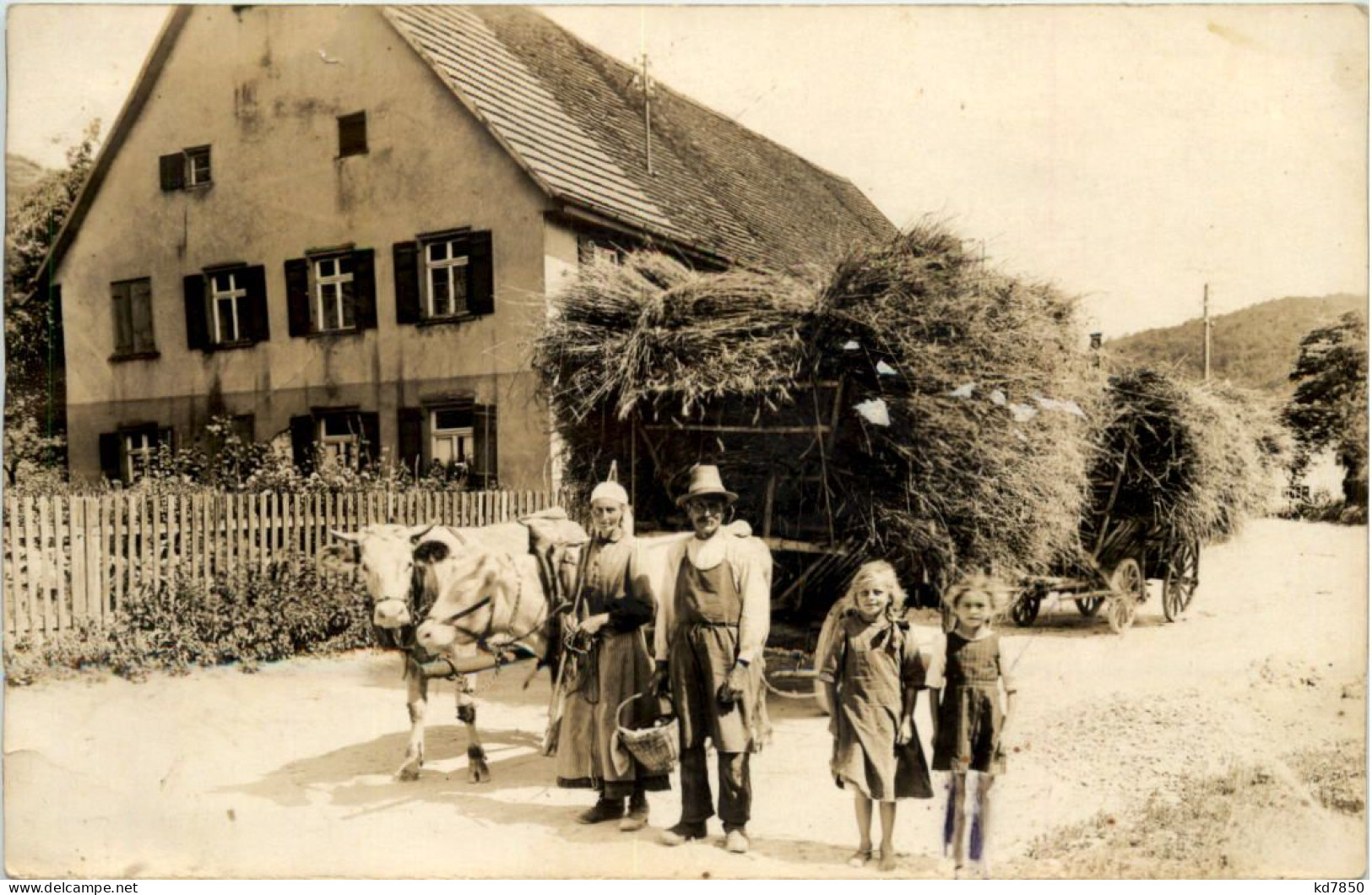 Allgäu Landwirtschaft - Teams