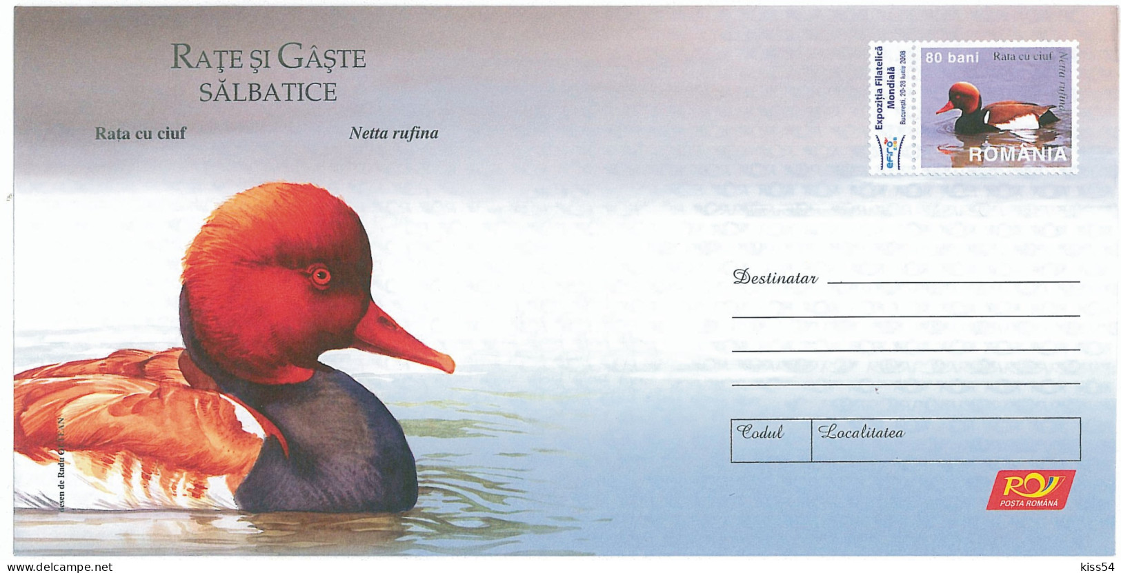 IP 2007 - 53 DUCK, Romania - Stationery - Unused - 2007 - Patos