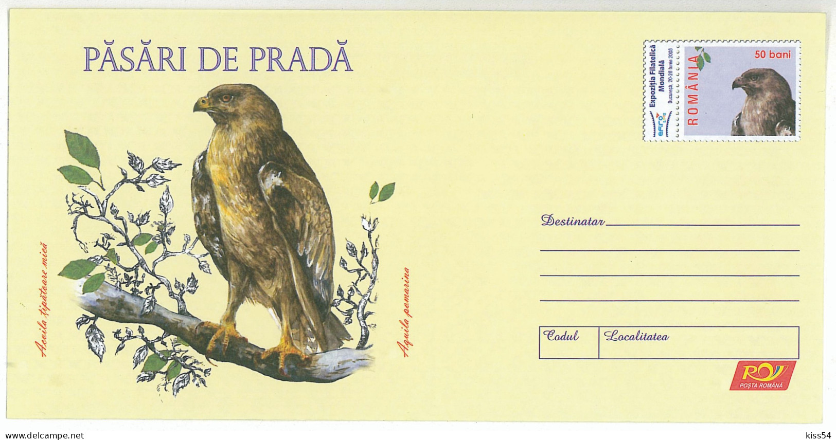 IP 2007 - 32 BOLD  EAGLE, Romania - Stationery - Unused - 2007 - Adler & Greifvögel