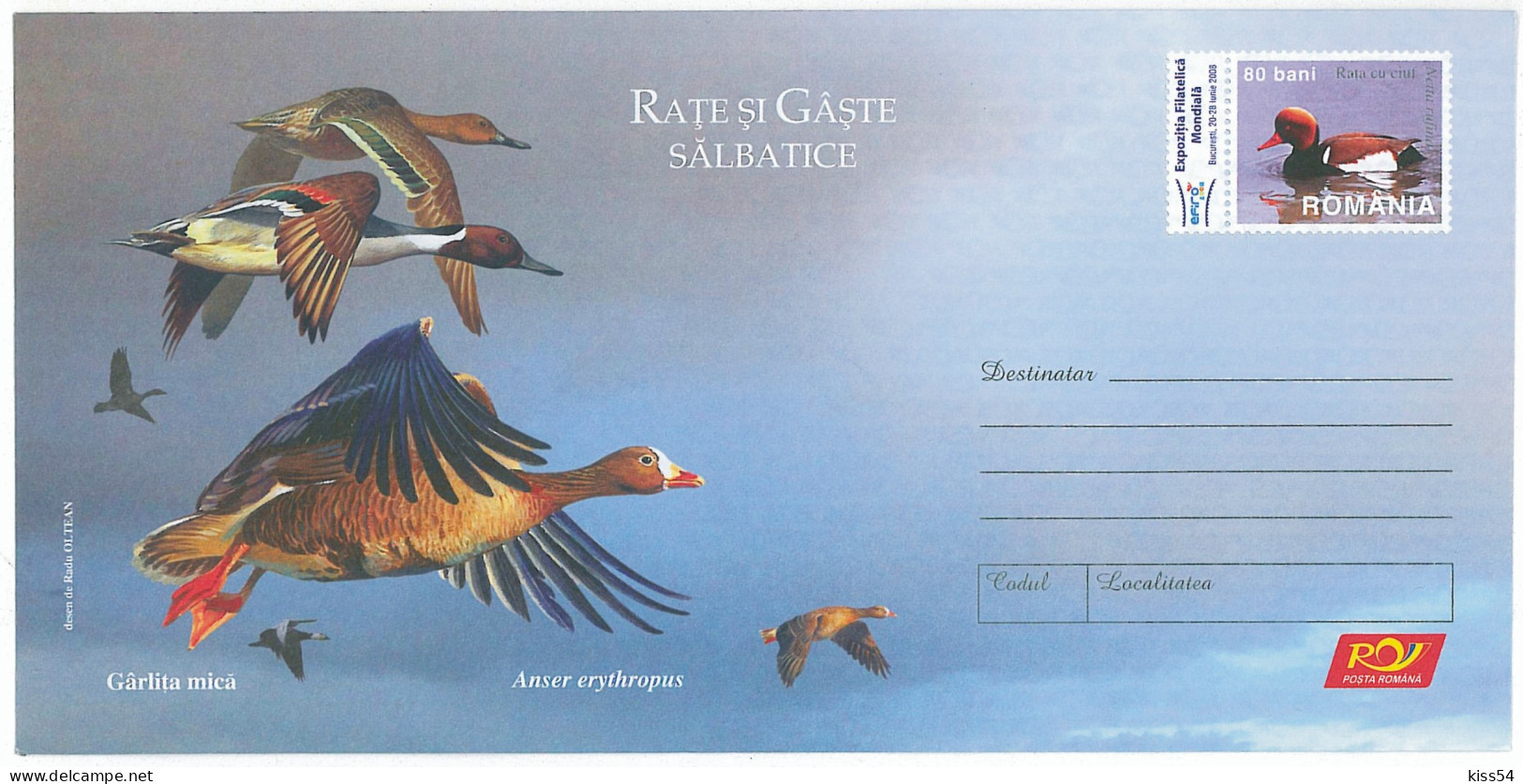 IP 2007 - 55 DUCK & GOOSE, Romania - Stationery - Unused - 2007  - Ducks