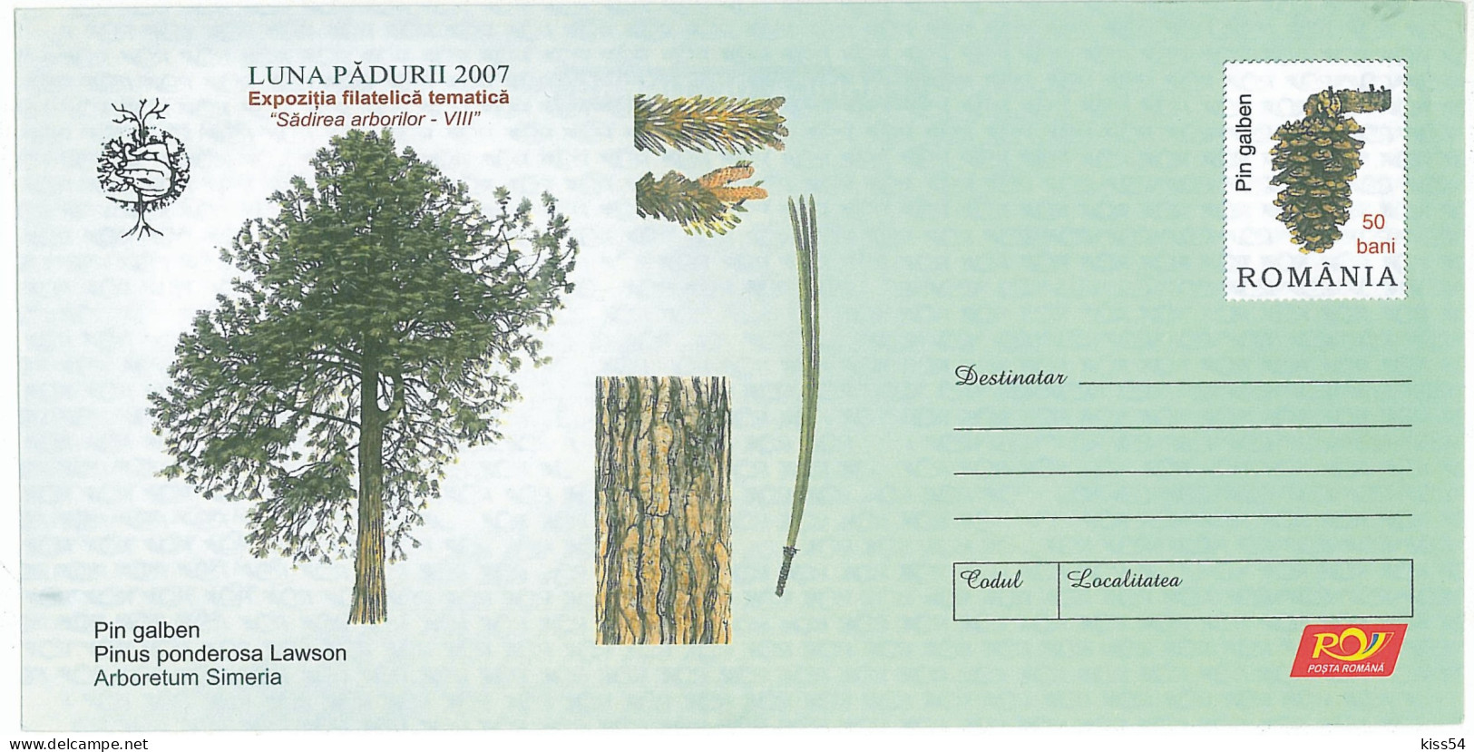 IP 2007 - 10 YELLOW PINE, Romania - Stationery - Unused - 2007 - Natur