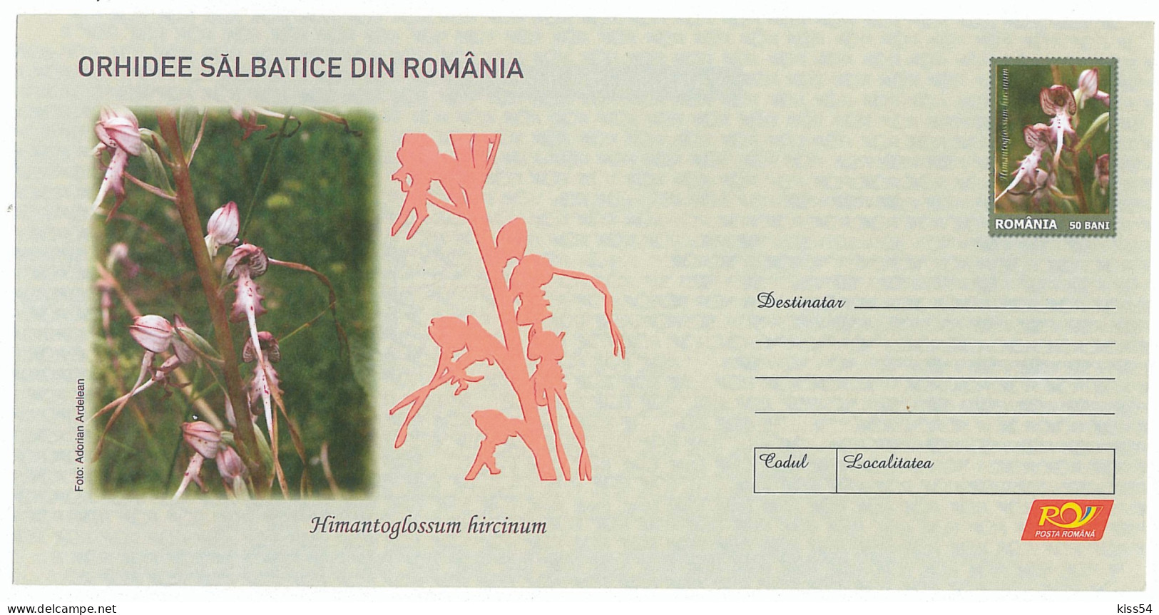 IP 2007 - 17 ORCHID, Romania - Stationery - Unused - 2007 - Orchideeën