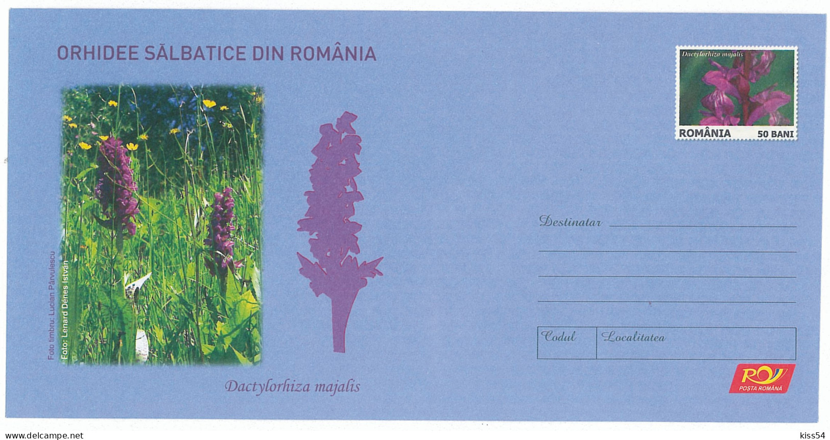 IP 2007 - 19 ORCHID, Romania - Stationery - Unused - 2007 - Orchideeën