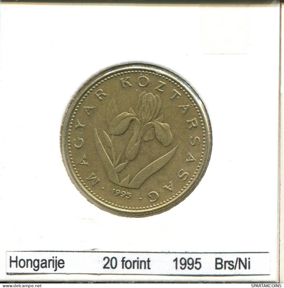 20 FORINT 1995 SIEBENBÜRGEN HUNGARY Münze #AS512.D.A - Hungría