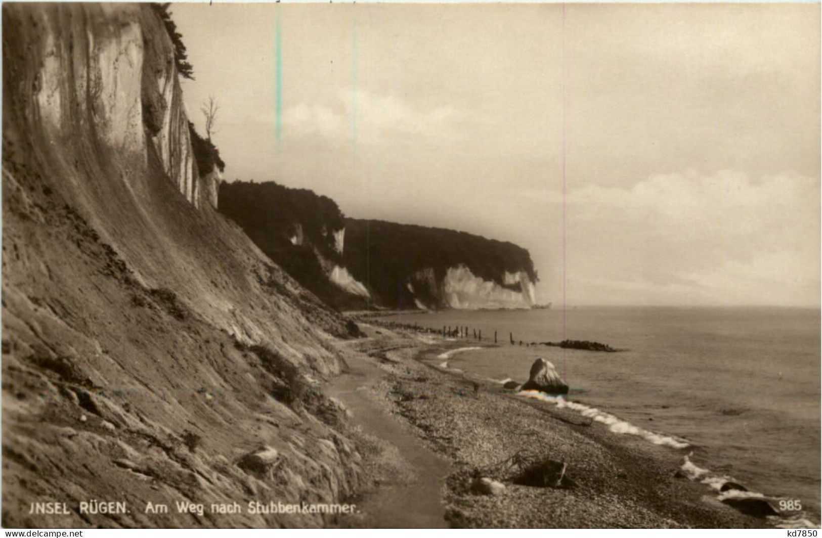 Rügen, Am Weg Nach Stubbenkammer - Rügen