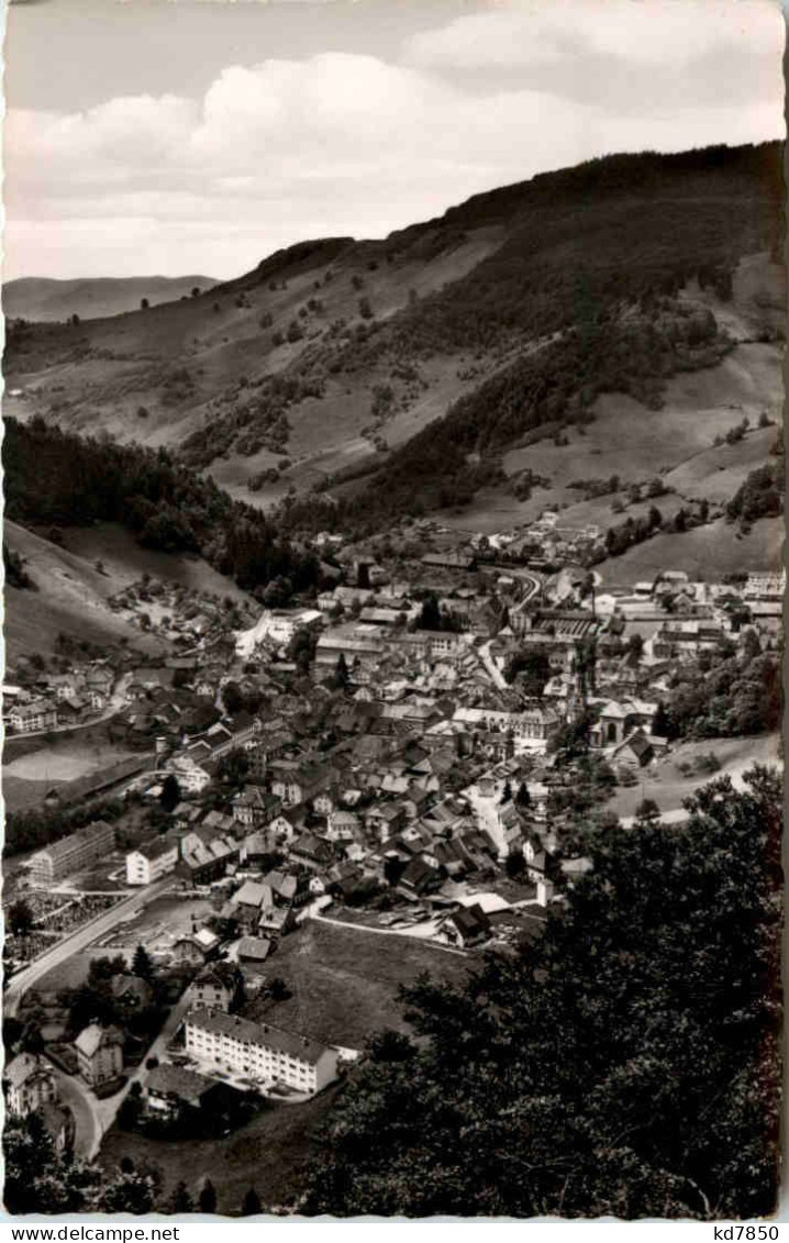 Kurort Todtnau - Todtnau