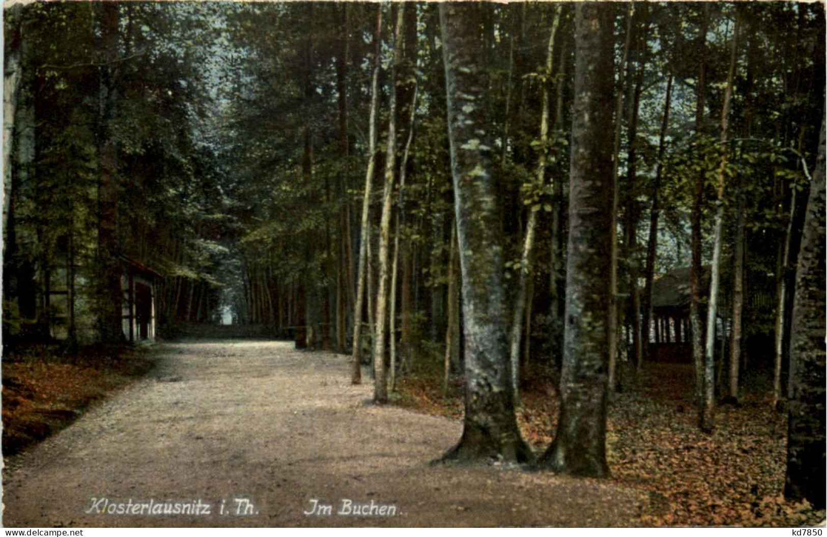 Klosterlausnitz - Im Buchen - Bad Klosterlausnitz