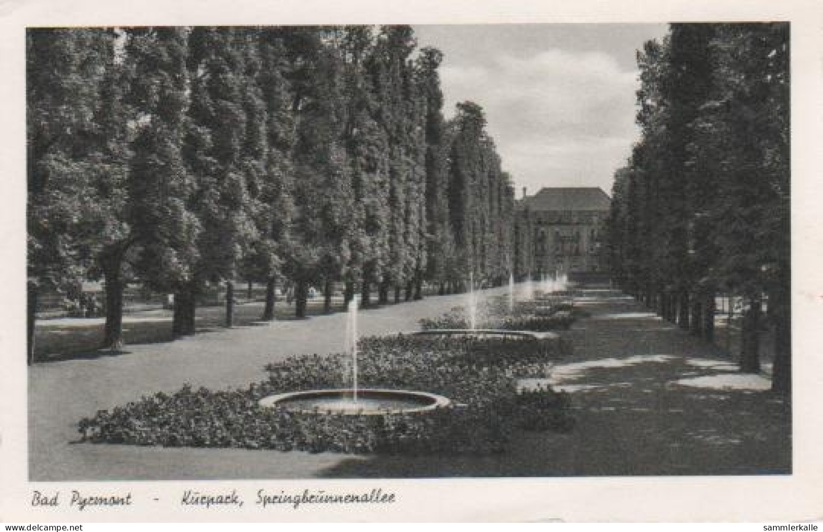 5318 - Bad Pyrmont - Kurpark, Springbrunnenallee - Ca. 1955 - Bad Pyrmont