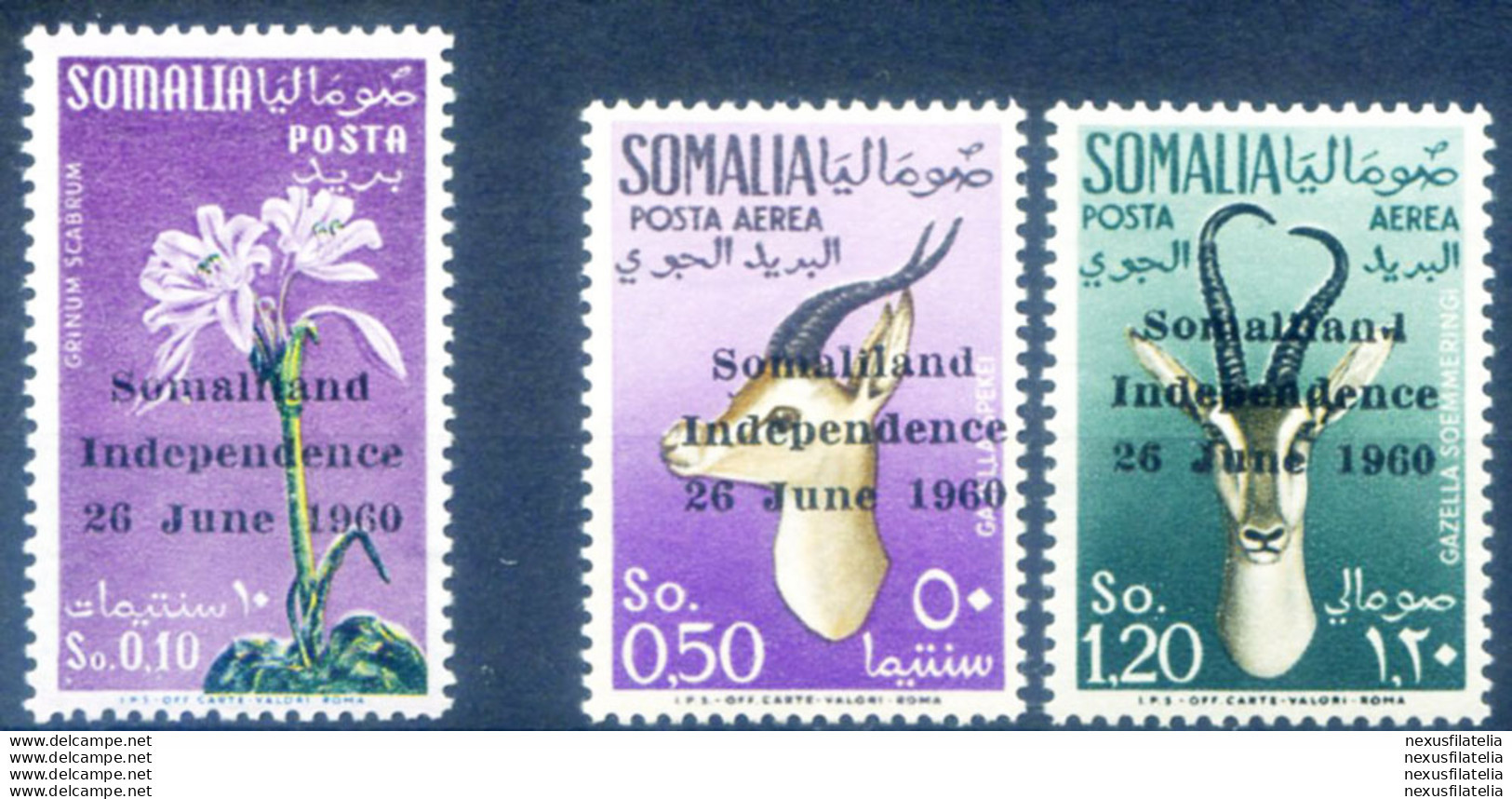 Indipendenza 1960. - Somalie (1960-...)