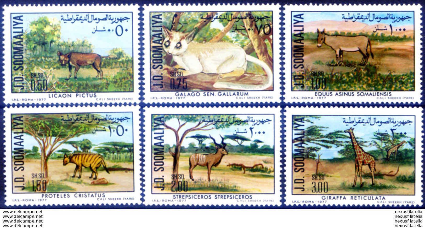Fauna Protetta 1977. - Somalië (1960-...)