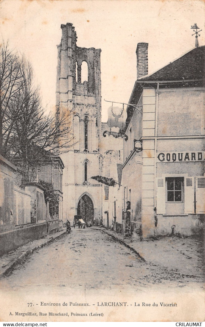 77-LARCHANT-N°T5029-F/0293 - Larchant