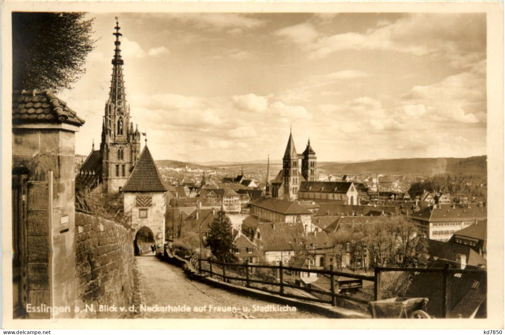 Esslingen Am Neckar, Blick V.d. Neckarhalde Auf Frauen-u. Stadtkirche - Esslingen