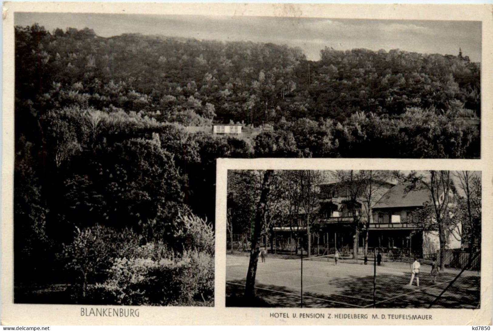 Blankenburg - Hotel Heidelberg - Tennis - Blankenburg