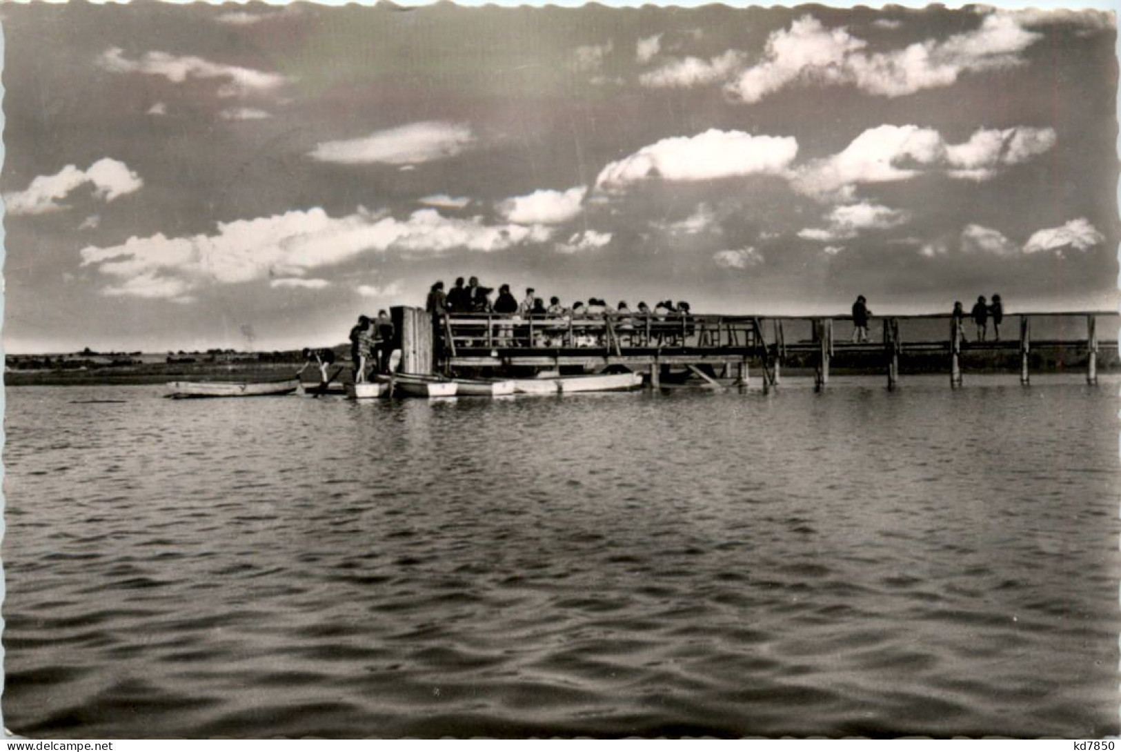 Federsee Bei Buchau - Biberach