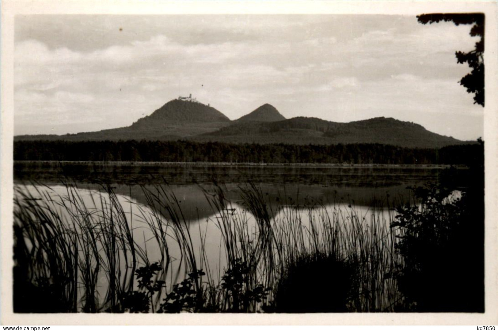 Sudetenland - Am Heideteich Bei Hirschberg - Sudeten