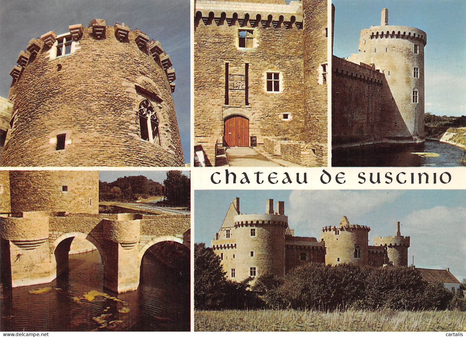 56-SARZEAU CHATEAU DE SUSCINIO-N°C-4358-D/0043 - Sarzeau