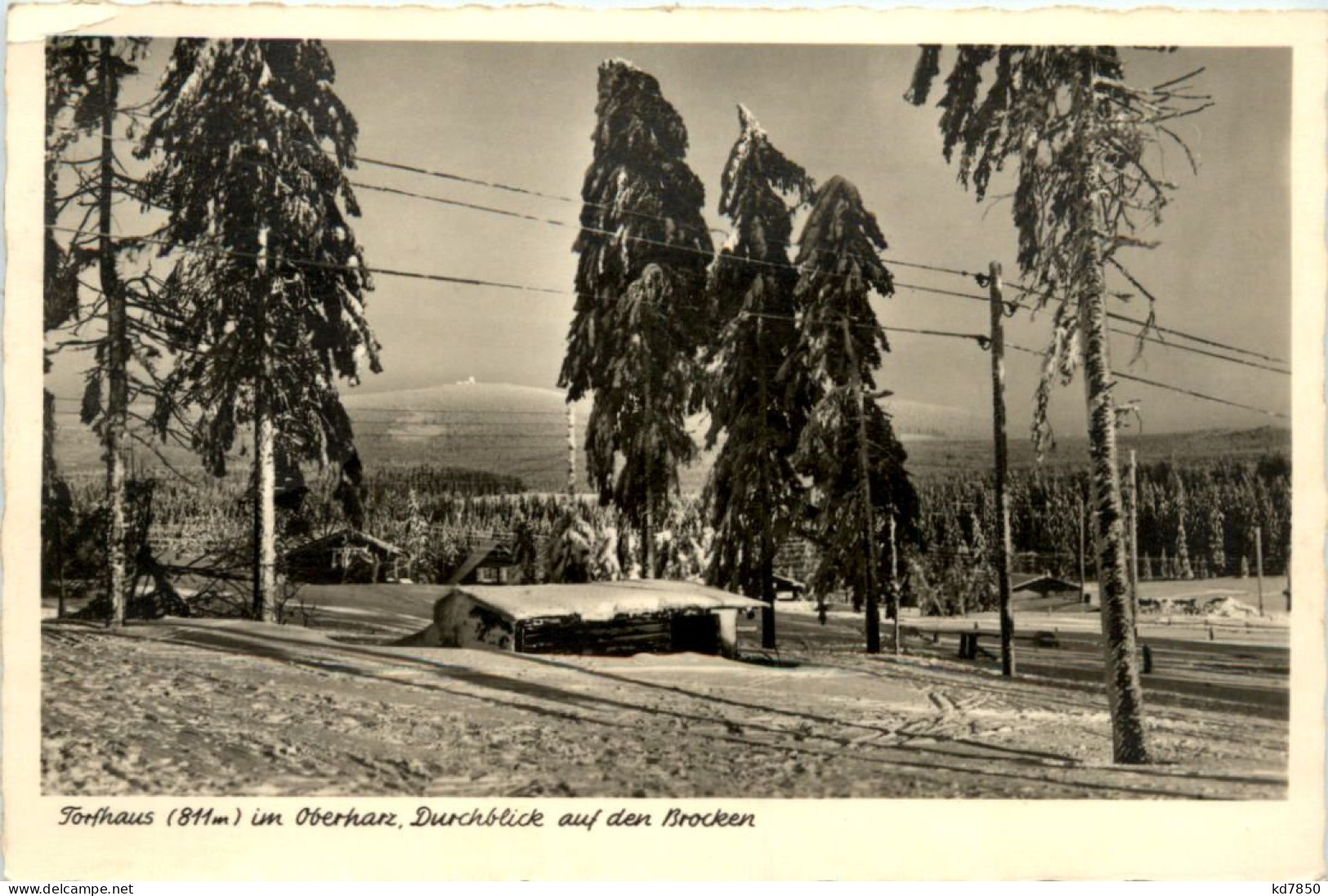 Torfhaus Im Oberharz, Durchblick Auf Den Brocken - Clausthal-Zellerfeld