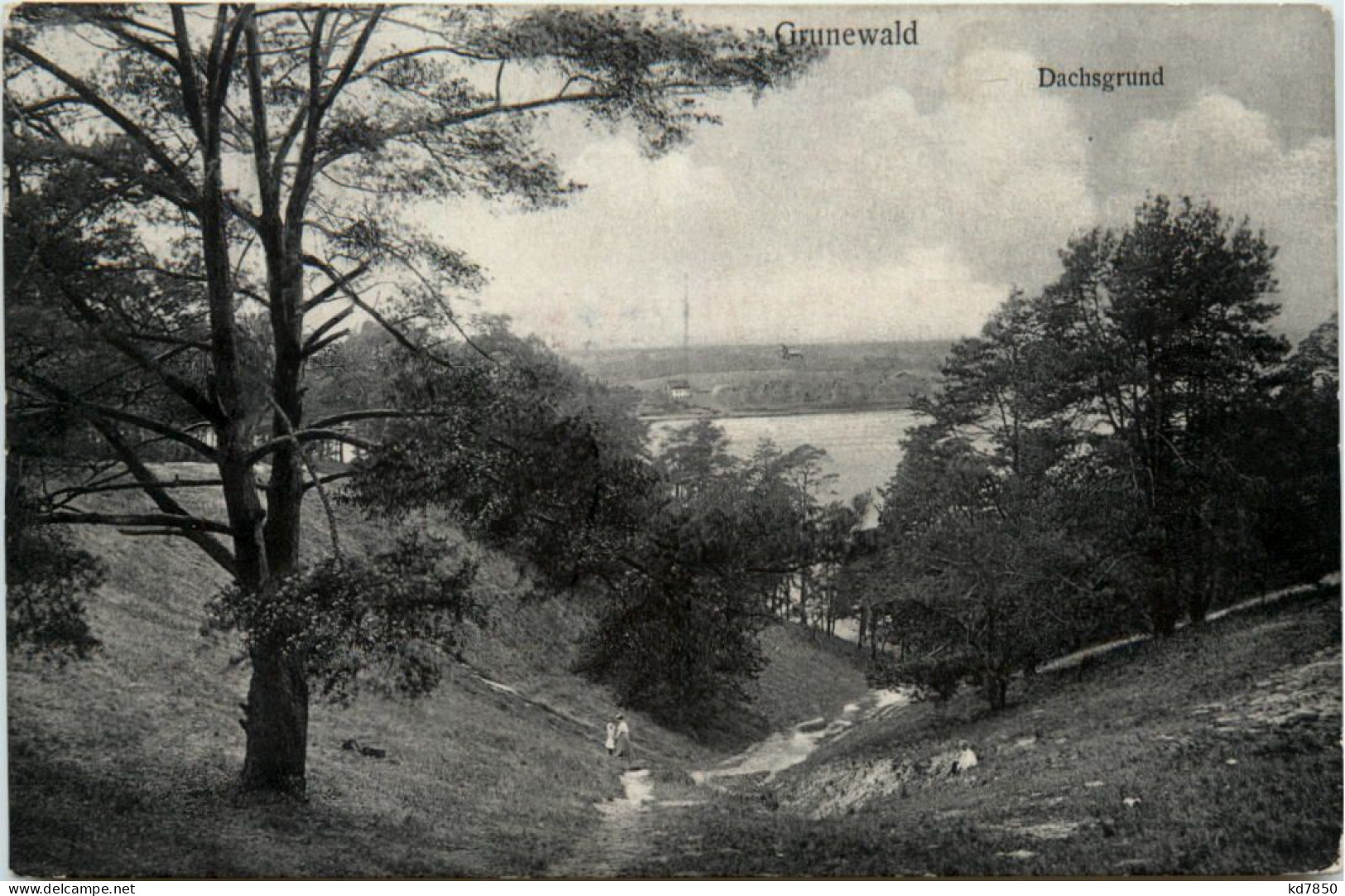 Grunewald, Dachsgrund - Grunewald