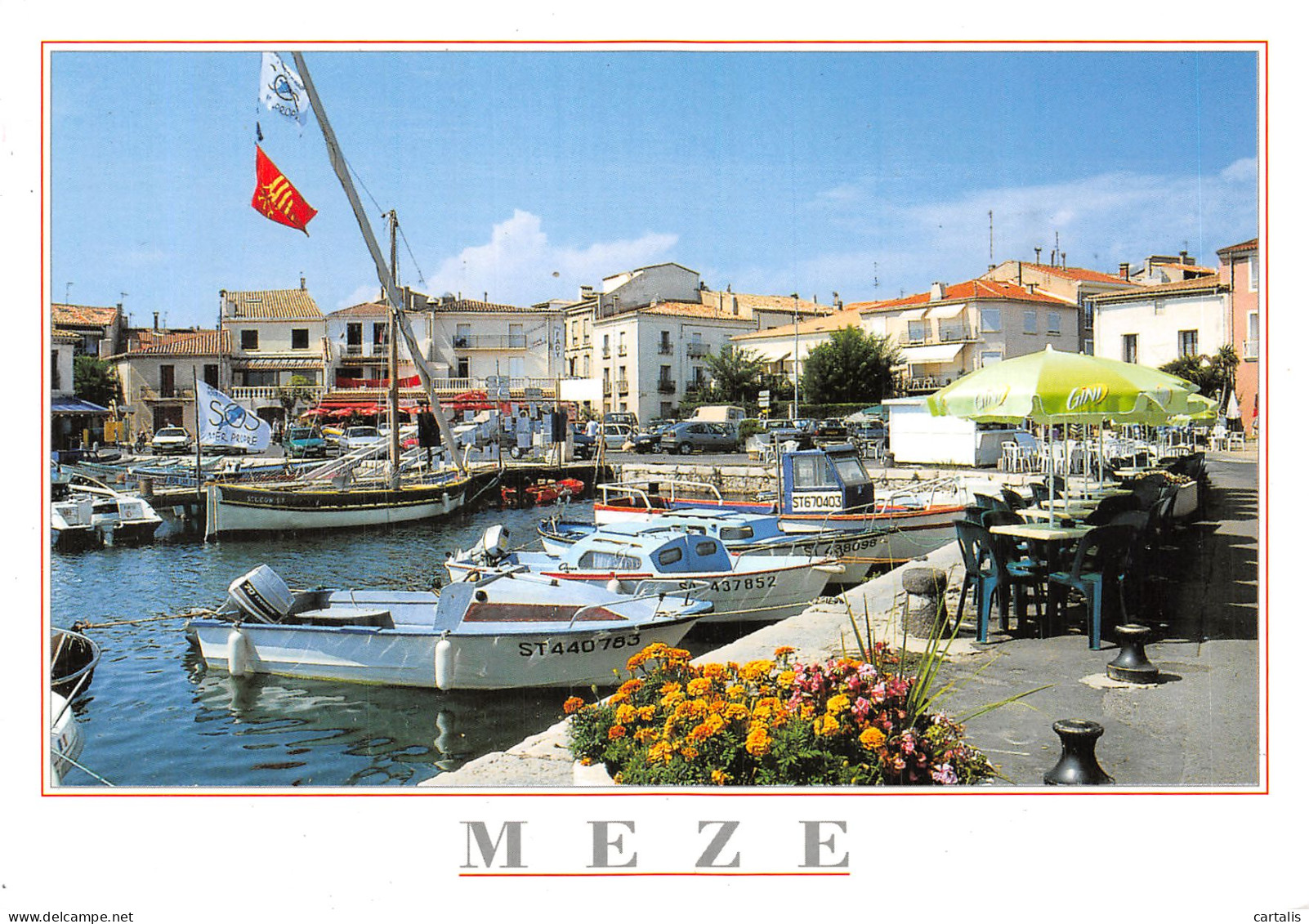 34-MEZE-N°C-4359-D/0323 - Mèze