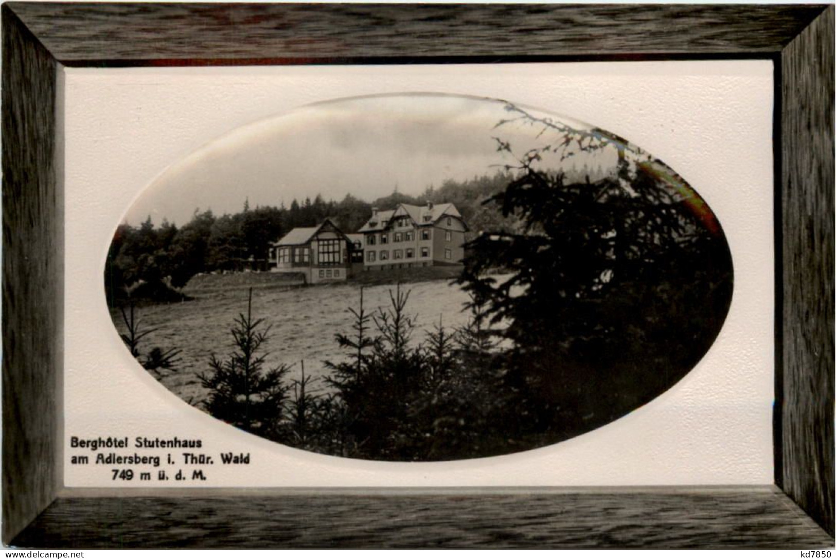 Berghotel Stutenhaus Am Adlersberg Bei Suhl - Suhl