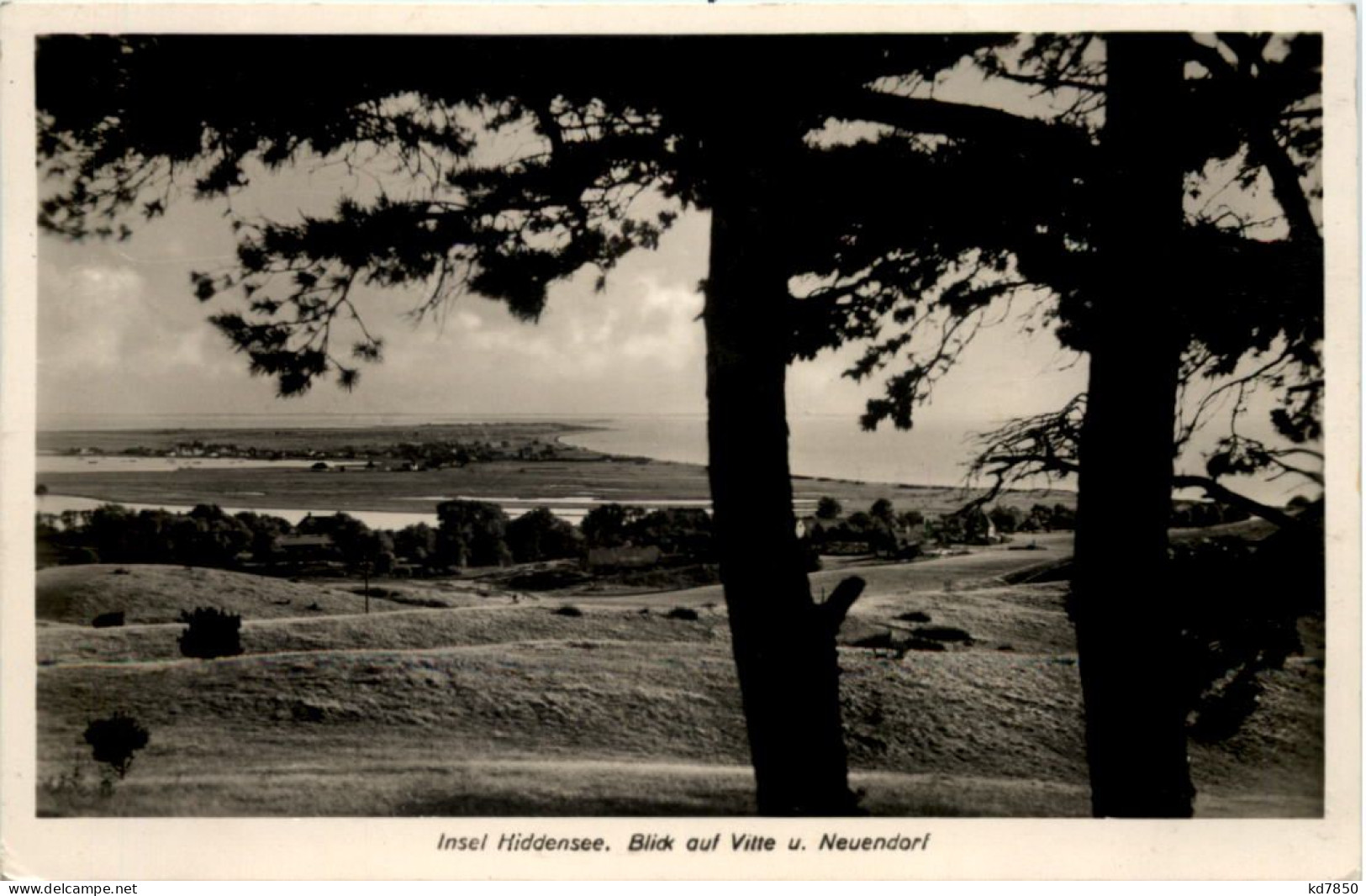 Insel Hiddensee, Blick Auf Vitte U. Neuendorf - Hiddensee