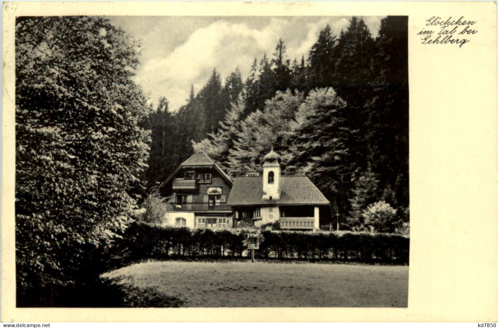 Glöckchen Im Tal Bei Gehlberg - Suhl - Suhl