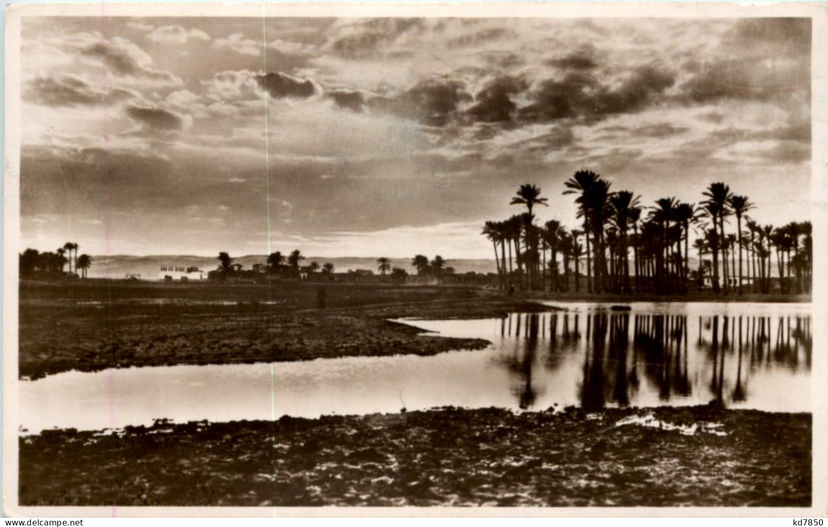 Cairo - Evening On The Nile - Le Caire