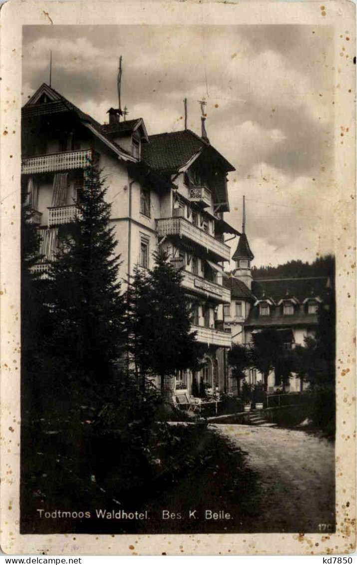 Todtmoos Waldhotel - Todtmoos