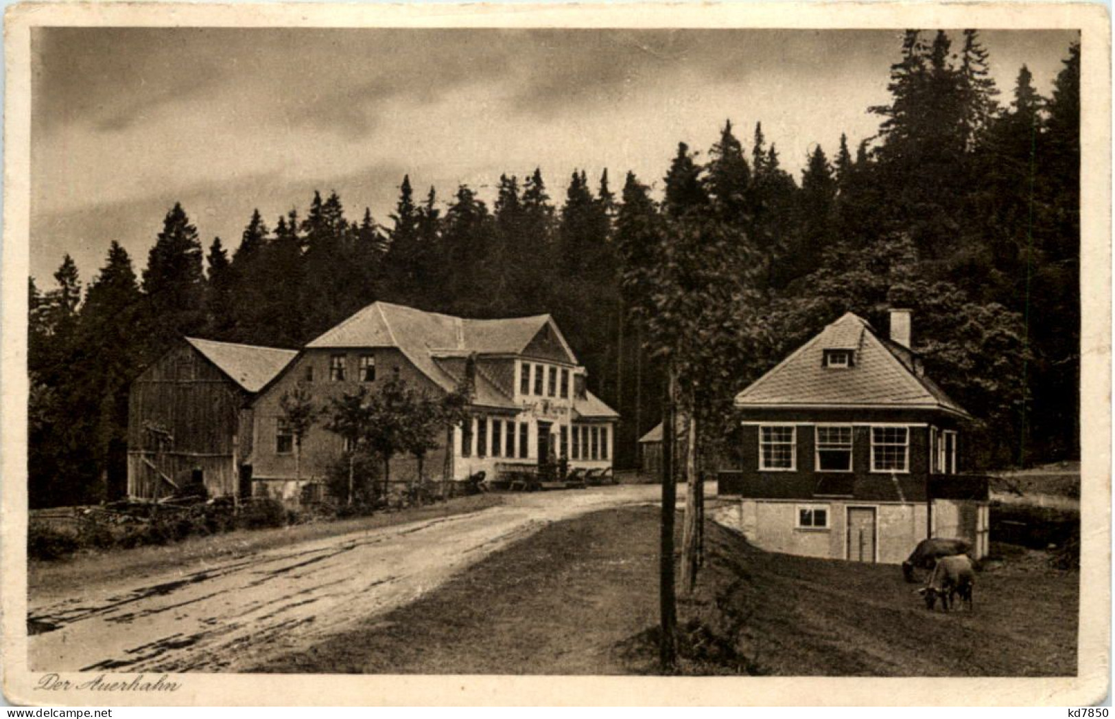 Gasthof Zum Auerhahn Bei Stützerbach - Ilmenau