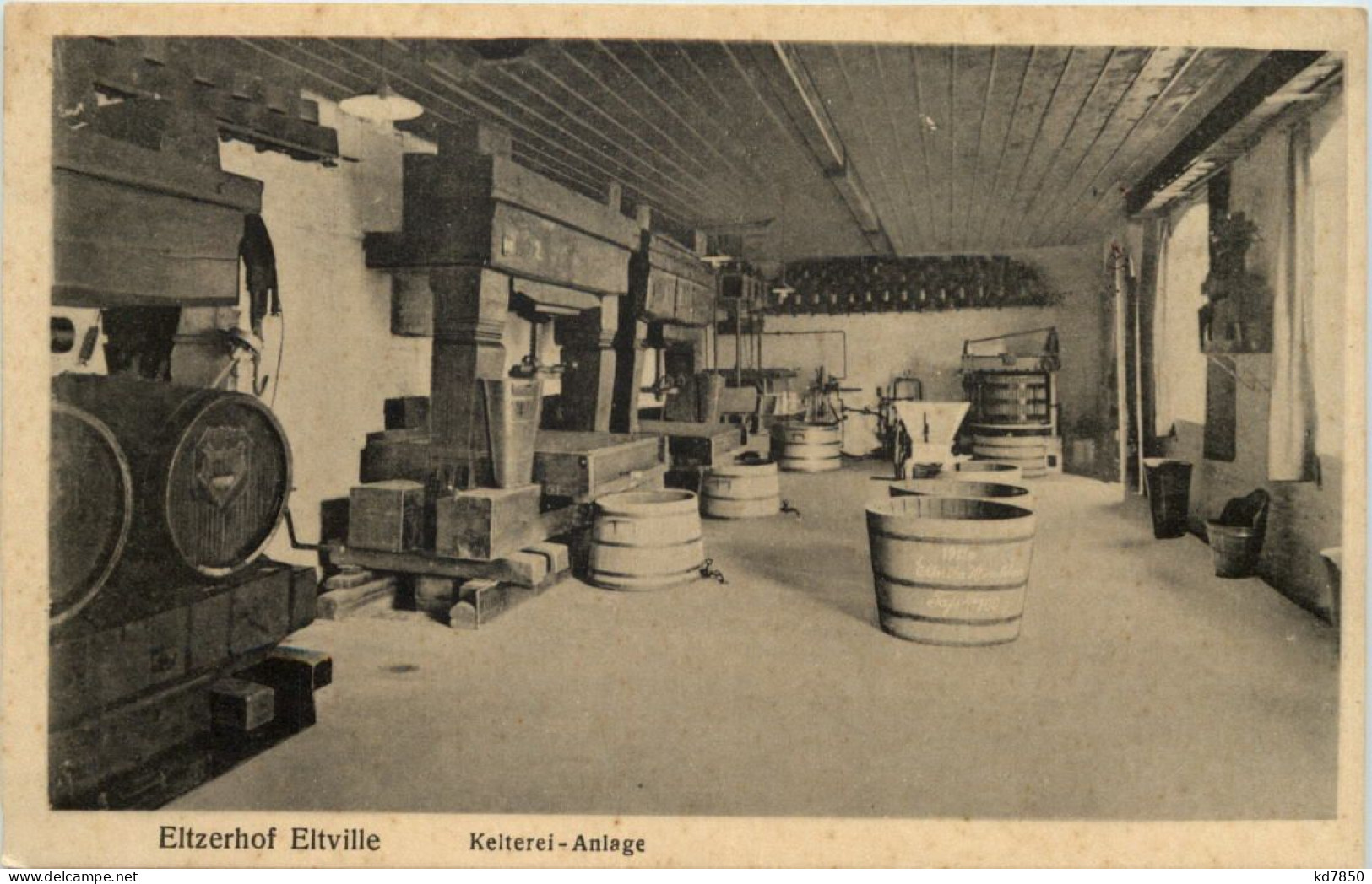 Eltzerhof Eltville - Kelterei Anlage - Eltville