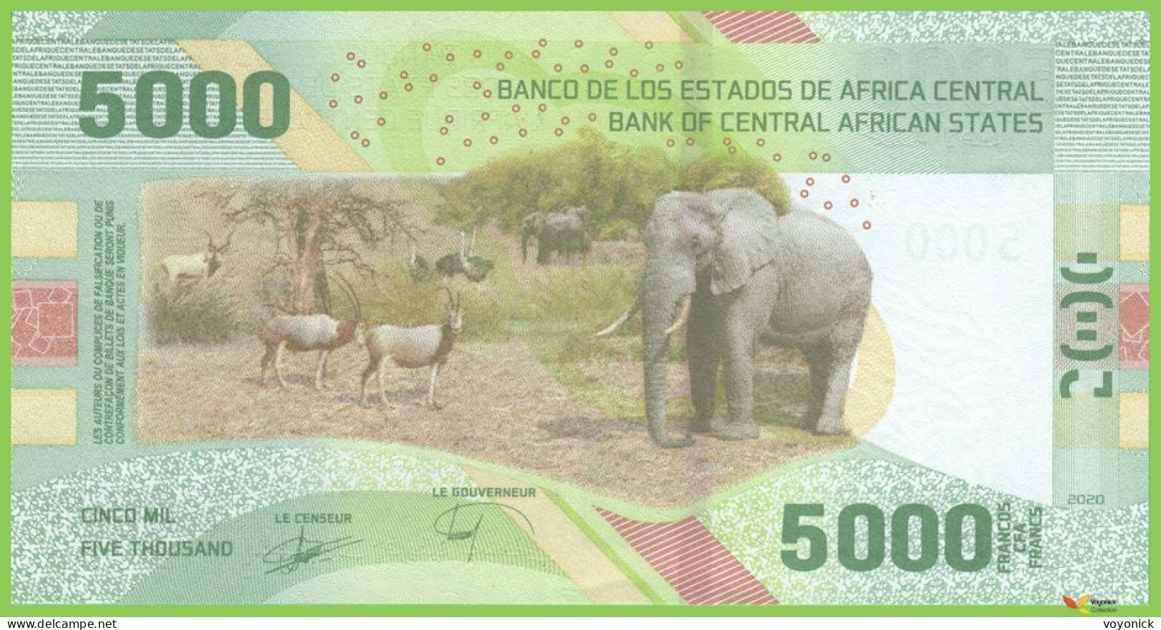 Voyo CENTRAL AFRICAN STATES CEMAC 5000 Francs CFA 2020(2022) P703 B114a D9 UNC - Central African States