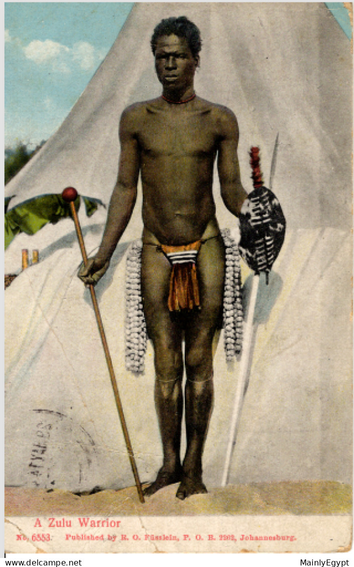 ZULU Postcard-: Ca. 1940, Zulu Warrior - PC06 - Afrique Du Sud