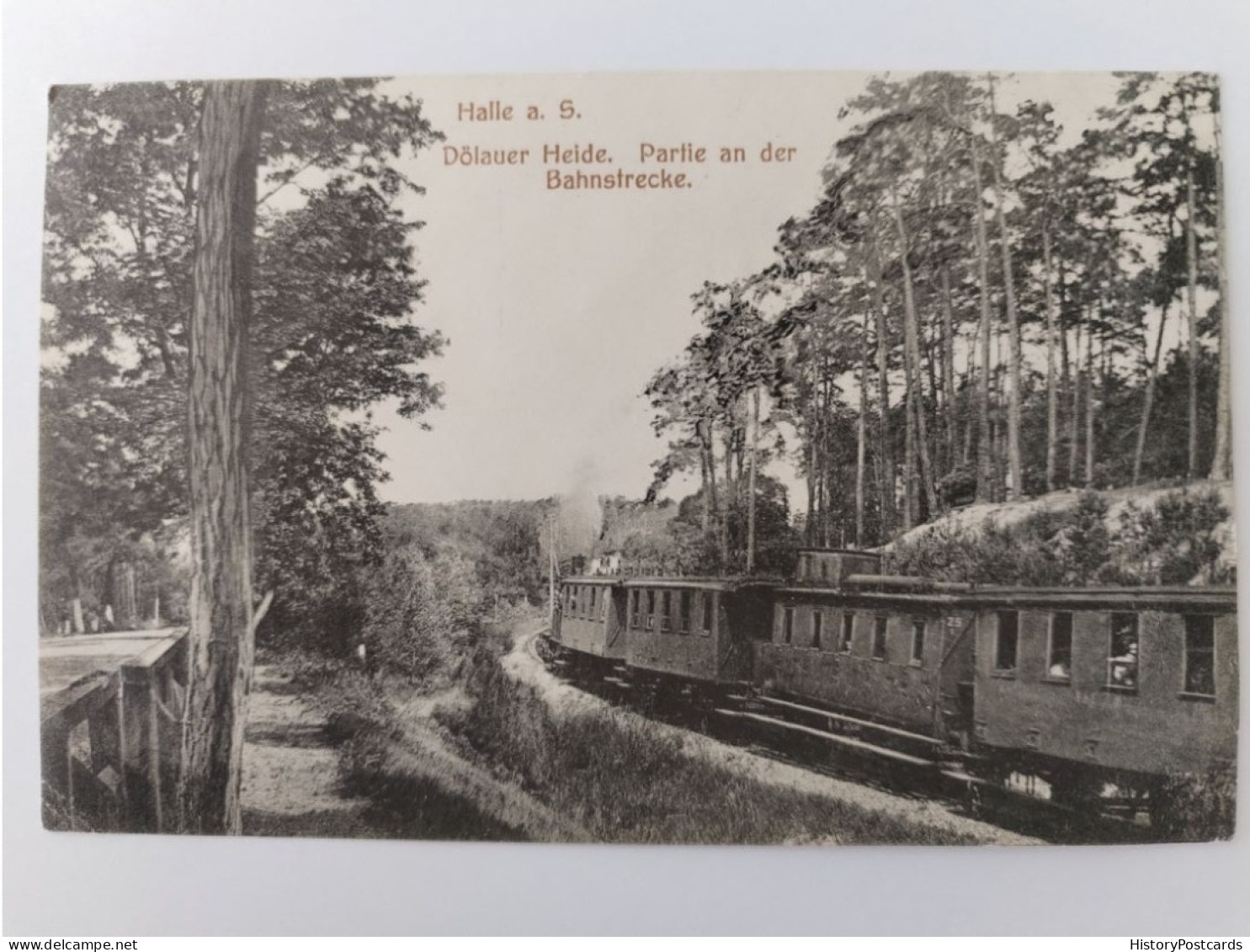 Halle A. D. Saale, Dölauer Heide, Bahnstrecke, Personenzug, Eisenbahn, Dampflok, 1908 - Halle (Saale)