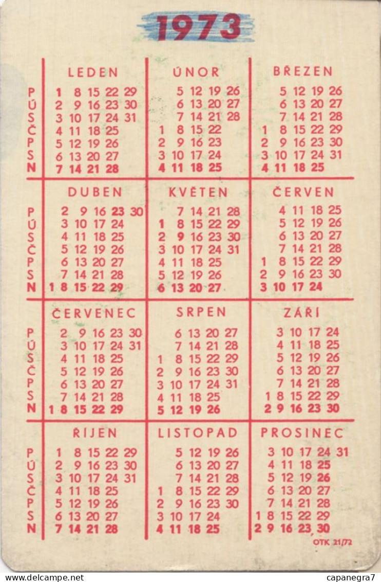 Lottery, Czechoslovak State Lottery, Czecho-Slovakia,1973, 60 X 90 Mm, Red Back Side - Tamaño Pequeño : 1971-80