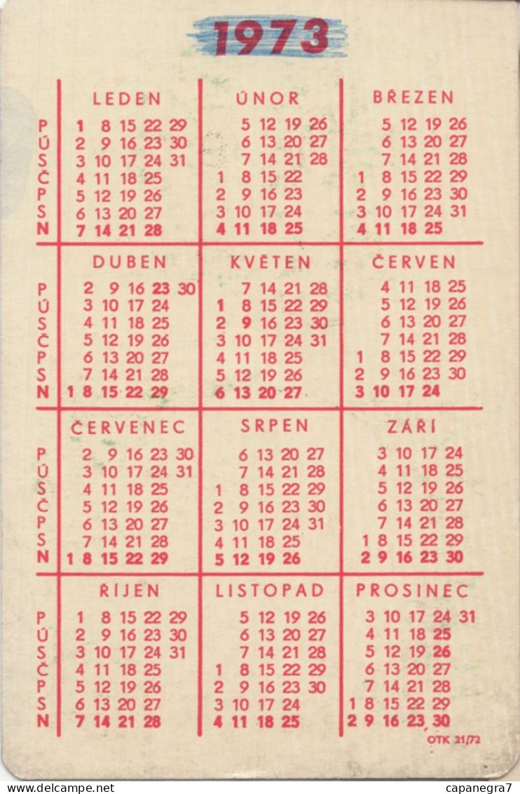 Lottery, Czechoslovak State Lottery, Czecho-Slovakia,1976, 60 X 90 Mm, Red Back Side - Small : 1971-80