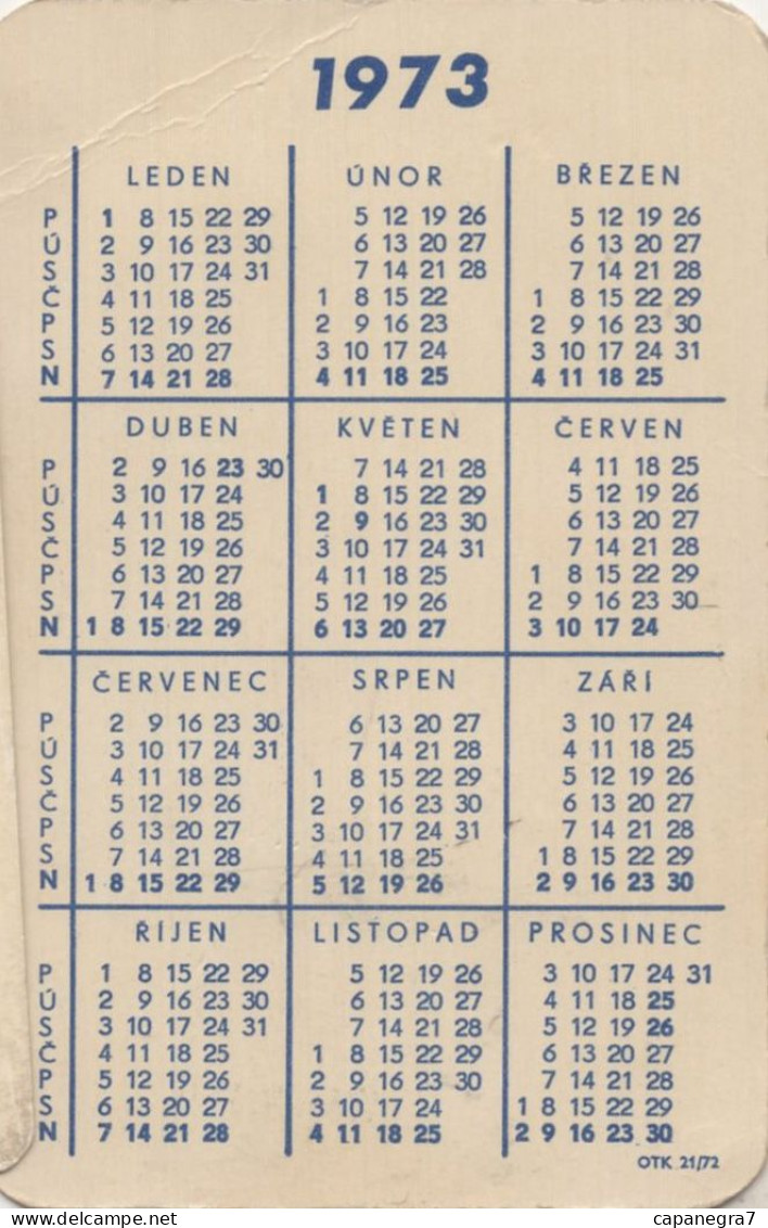 Lottery, Czechoslovak State Lottery, Czecho-Slovakia,1973, 60 X 90 Mm, Blue Back Side - Small : 1971-80