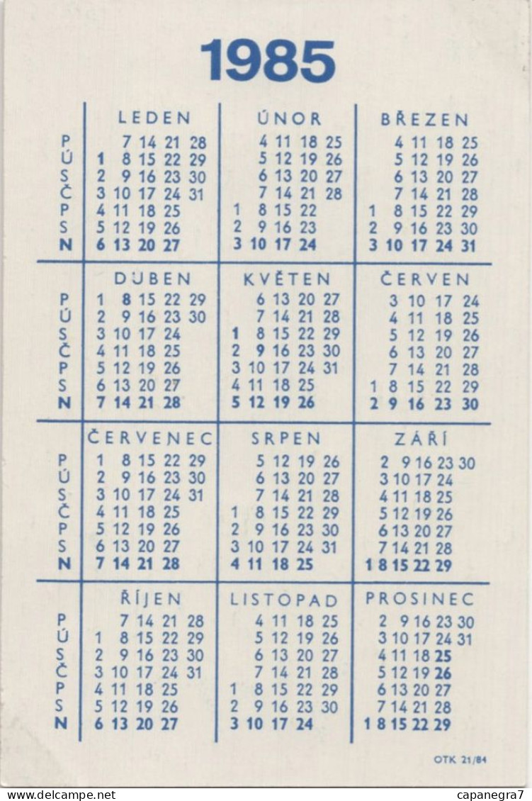 Lottery, Czechoslovak State Lottery, Czecho-Slovakia,1985, 60 X 90 Mm - Klein Formaat: 1981-90