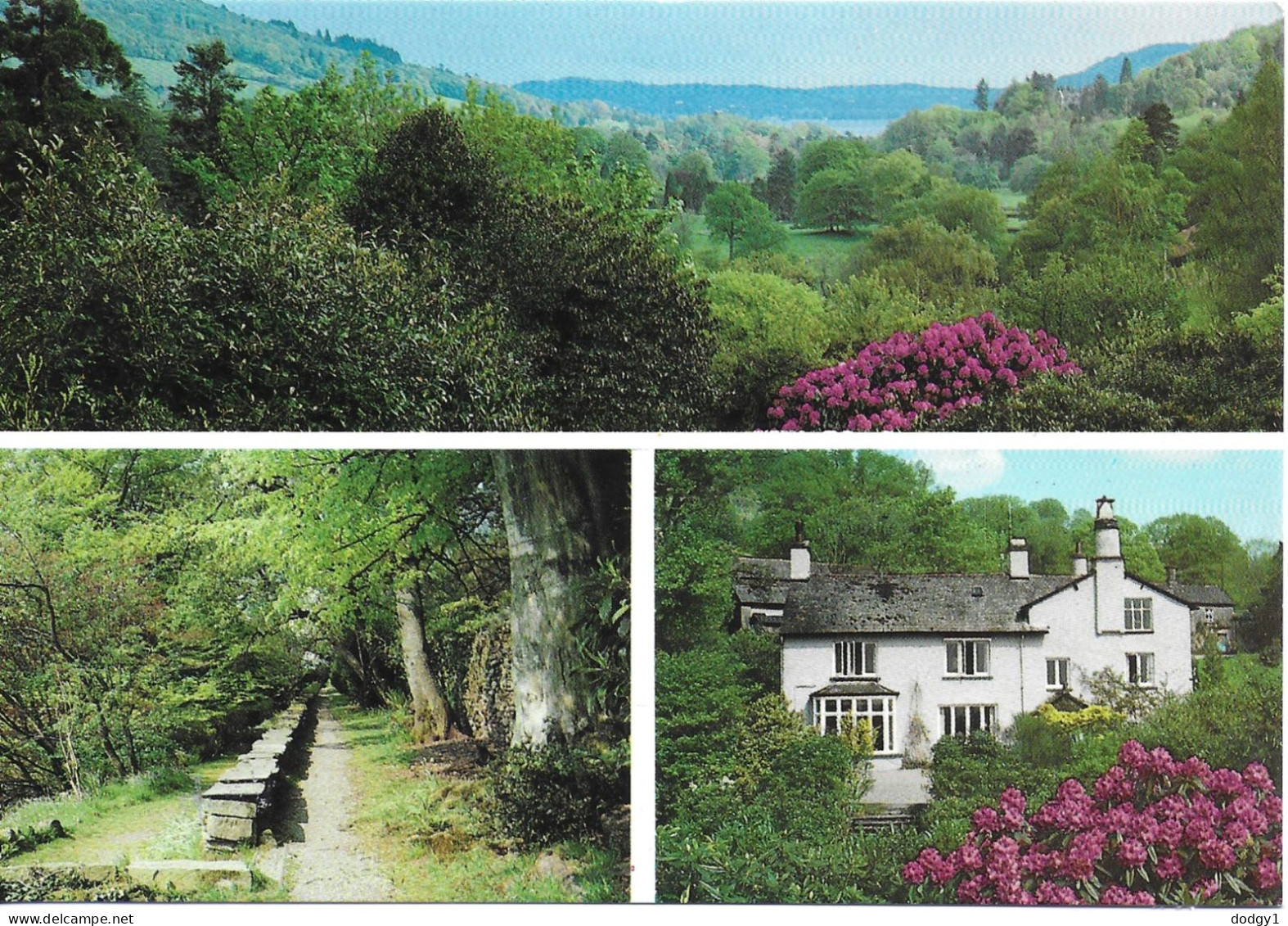 SCENES FROM RYDAL MOUNT, CUMBRIA, ENGLAND. UNUSED POSTCARD   M3 - Other & Unclassified