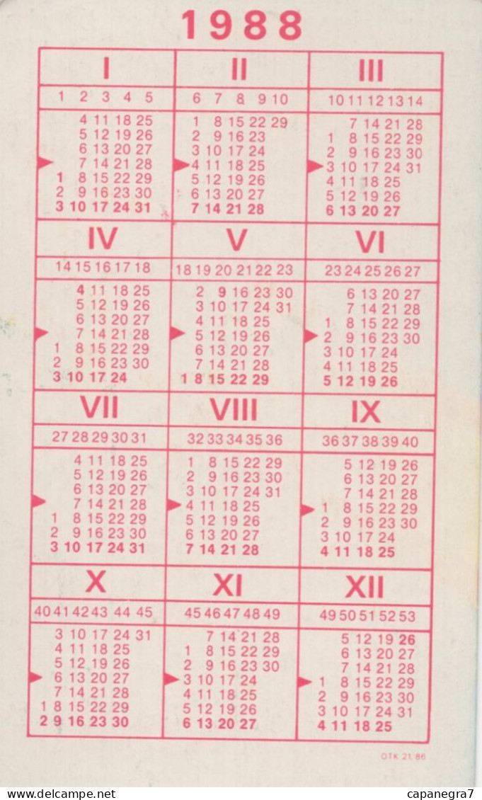 SAZKA, Czechoslovak Betting Office, Betting On The Results Of Sports Competitions, 1988, 65 X 105 Mm, Red Back Side - Klein Formaat: 1981-90