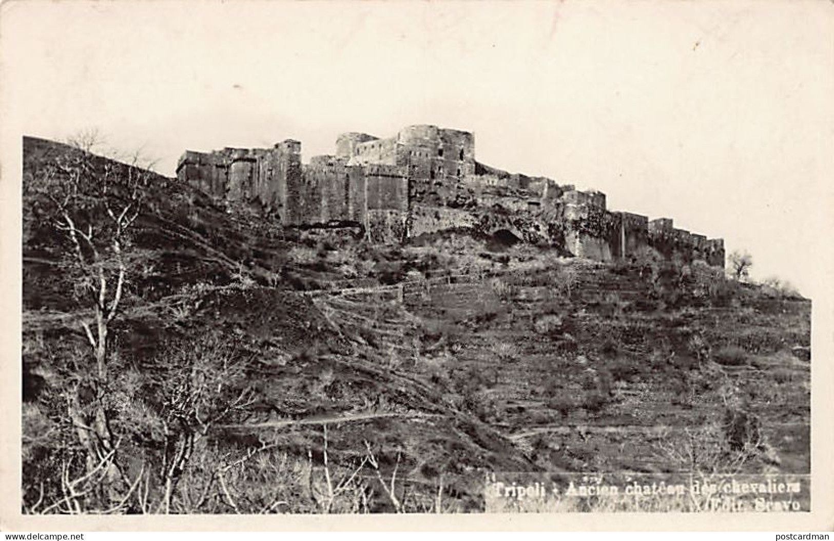 Liban - TRIPOLI - Ancien Château Des Chevaliers - Ed. Scavo  - Libano