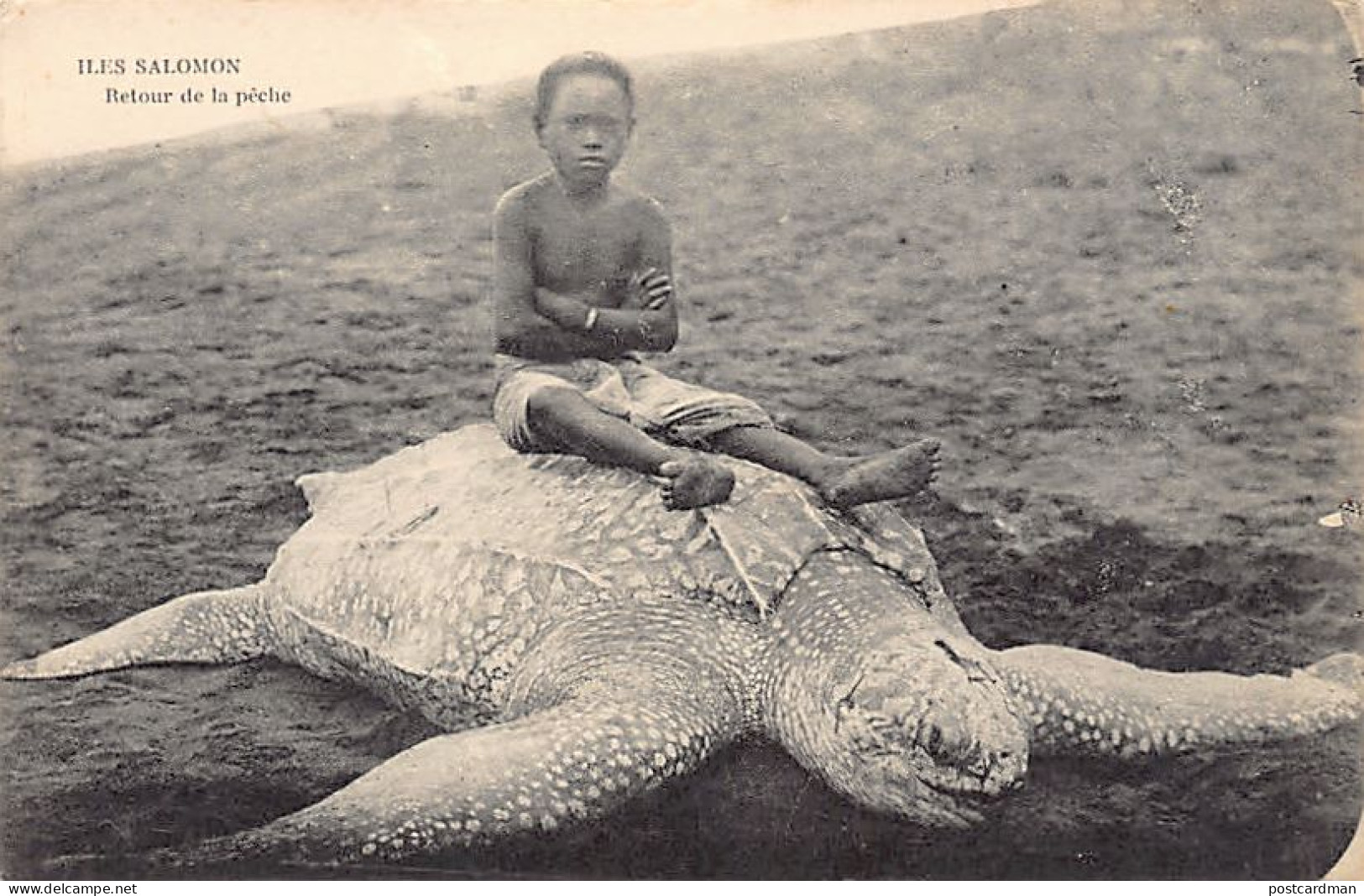 Solomon Isl. - Sea Turtle And Native Child. - Solomoneilanden